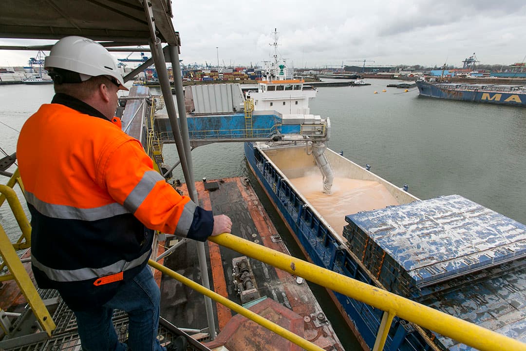 Overslag van mais in de haven. - Foto: Roel Dijkstra