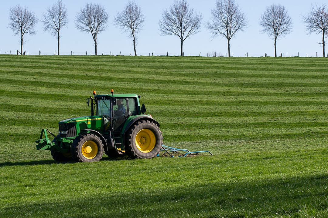 'Op graslandmanagement doet zich nu een kans voor om deze strategie te toetsen'. Foto: Twan Wiermans