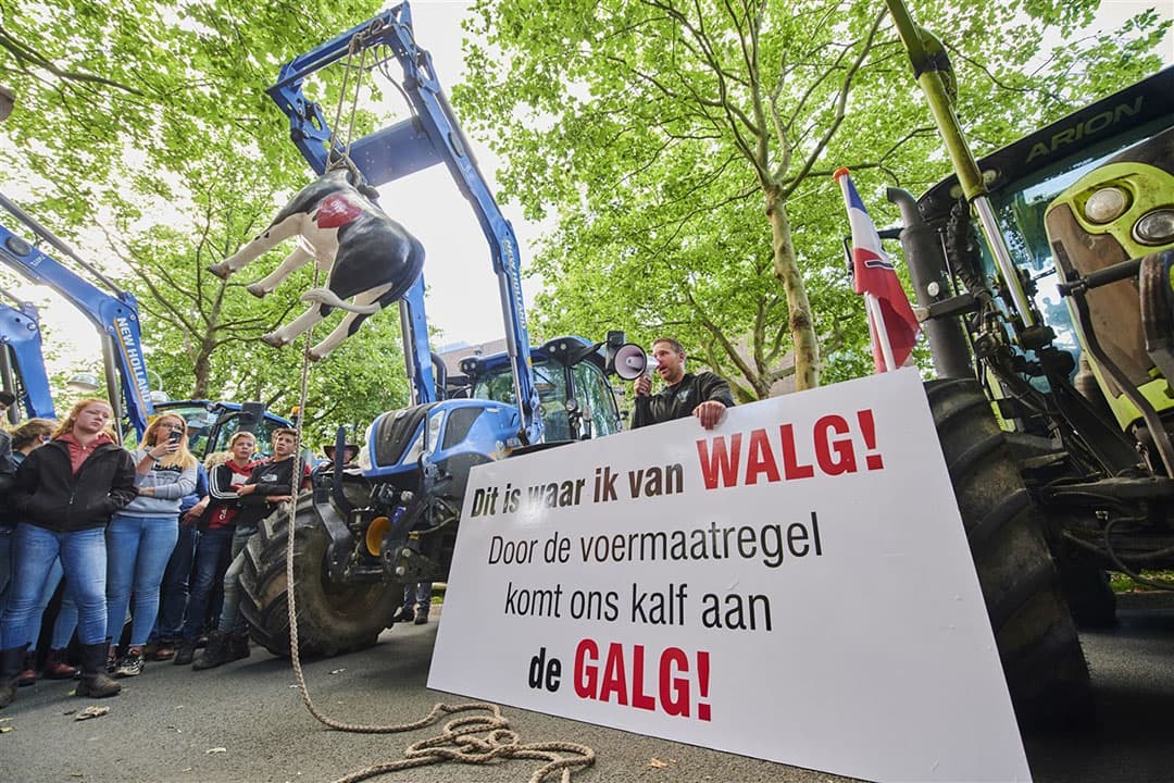 Foto: Nederlandse Freelancers