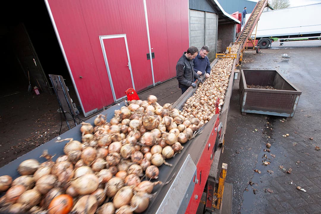 Foto: Hans Banus