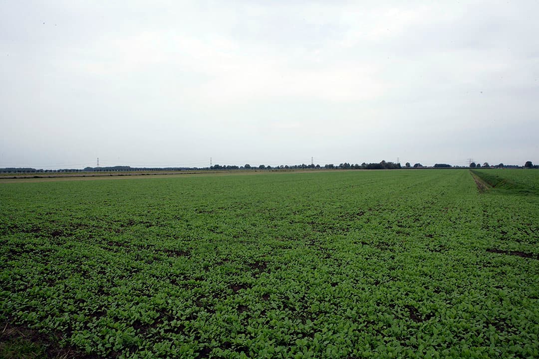 Akkerbouwgrond in Drenthe. Foto: Henk Riswick