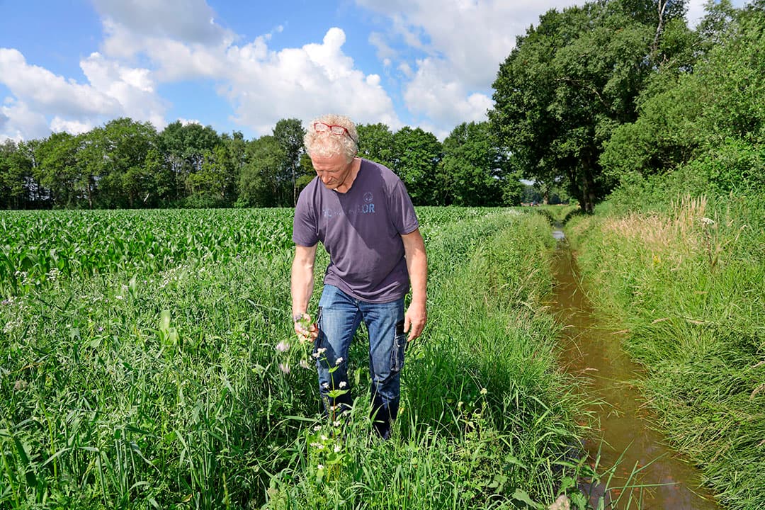 Foto: Ruud Ploeg