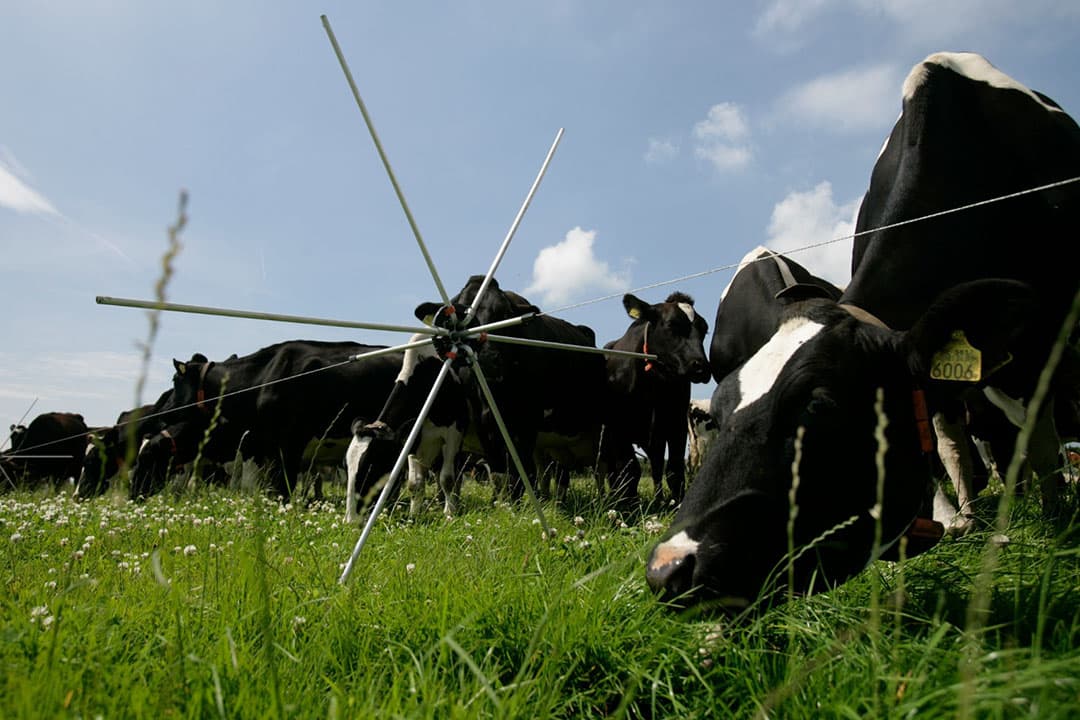 Foto: Jan Willem Schouten