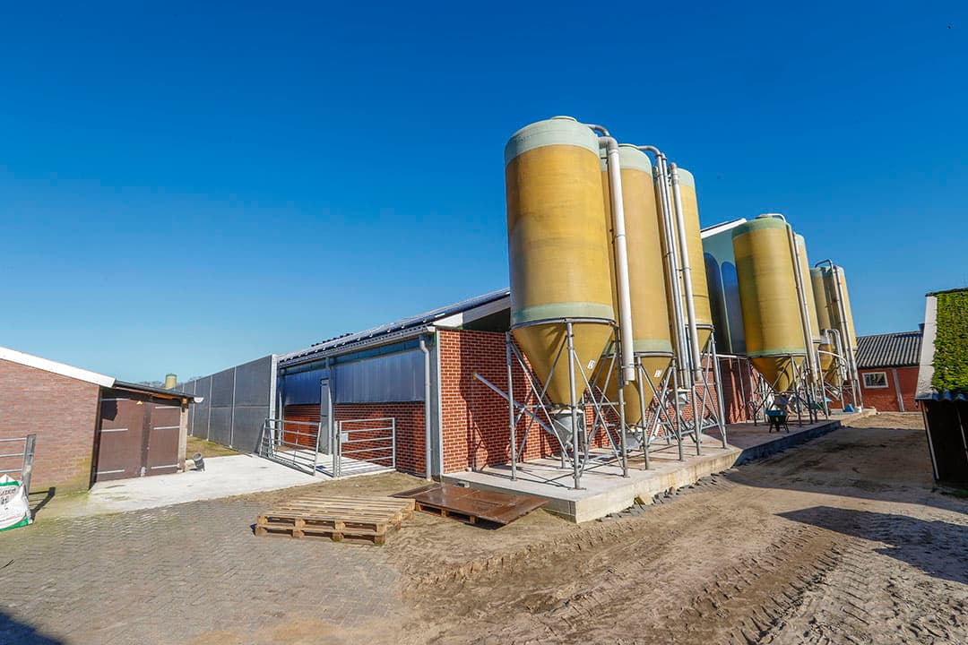 Brabants varkensbedrijf. Het nieuwe Brabantse bestuur wil boeren nog meer tijd geven, voor zowel de vergunningsdeadline als de realisatie van de nieuwe stalplannen. Foto: Bert Jansen