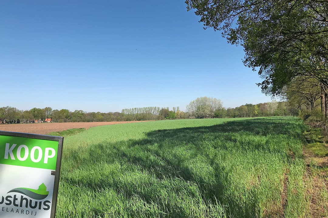 Beleggers vinden landbouwgrond steeds interessanter worden, zegt Alfred Jansen. Dat heeft een prijsopdrijvend effect. - Foto: Misset