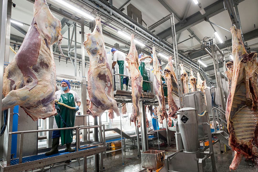 Foto: Koos Groenwold