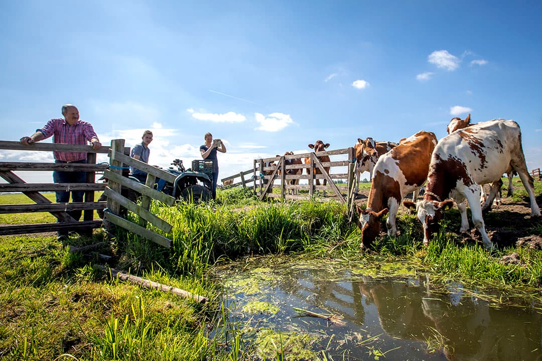 Foto: Roel Dijkstra