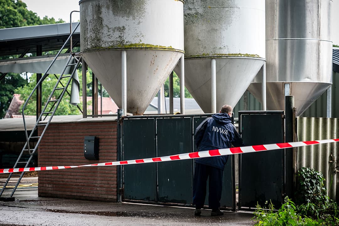 Archieffoto van de ruiming van een nertsenhouderij op 6 juni. - Foto: ANP