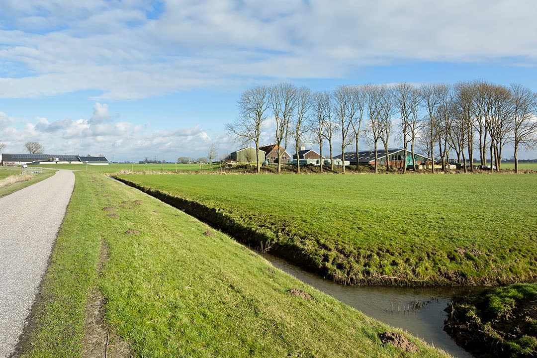 Foto: Ruud Ploeg