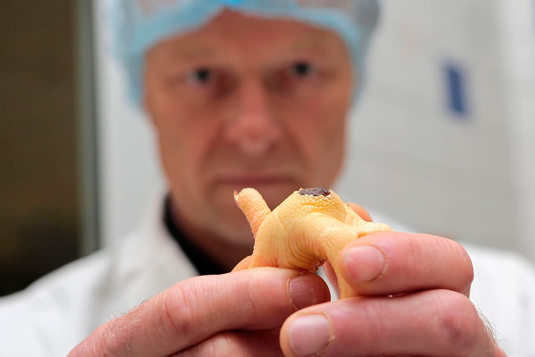 Foto: Ton Kastermans Fotografie
