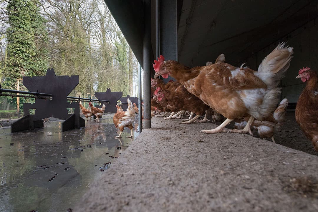 Foto: Joris Telders