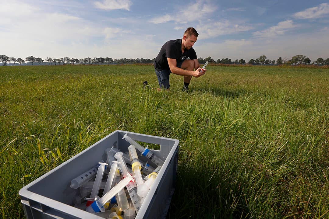 Een veldmedewerker tijdens een proef. Zogenaamde cups in de grond vangen het uitgespoelde water op. In dit water worden de concentraties mineralen en dus zeoliet gemeten. - Foto: Hans Prinsen