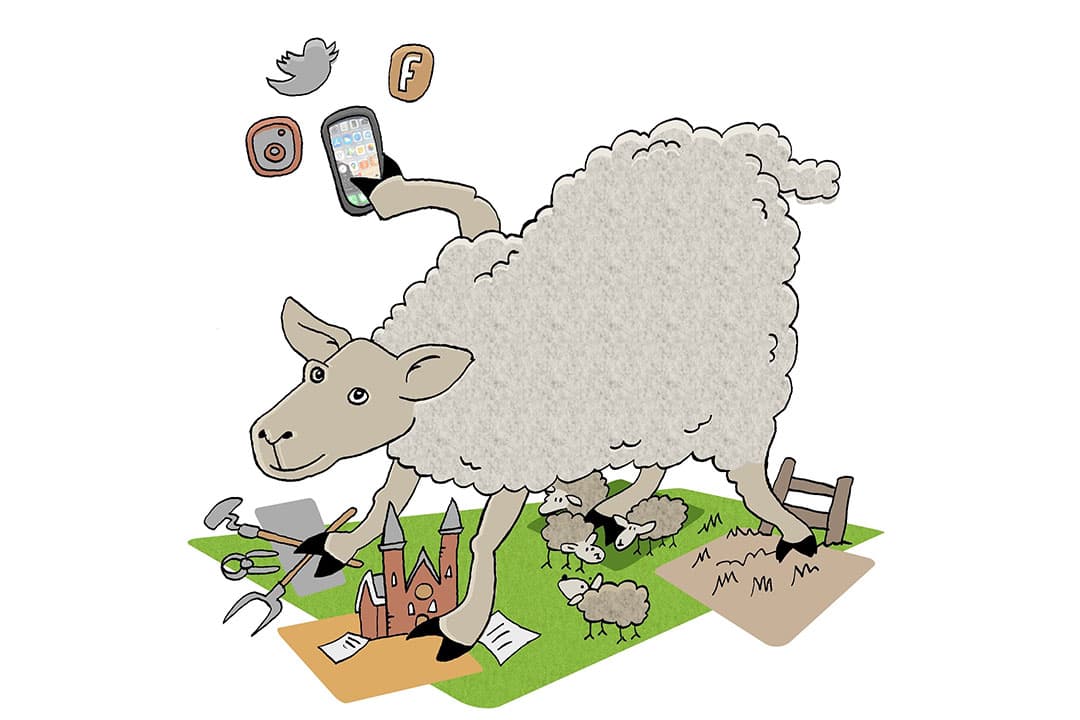 LTO zoekt schaap met vijf poten als nieuwe leider