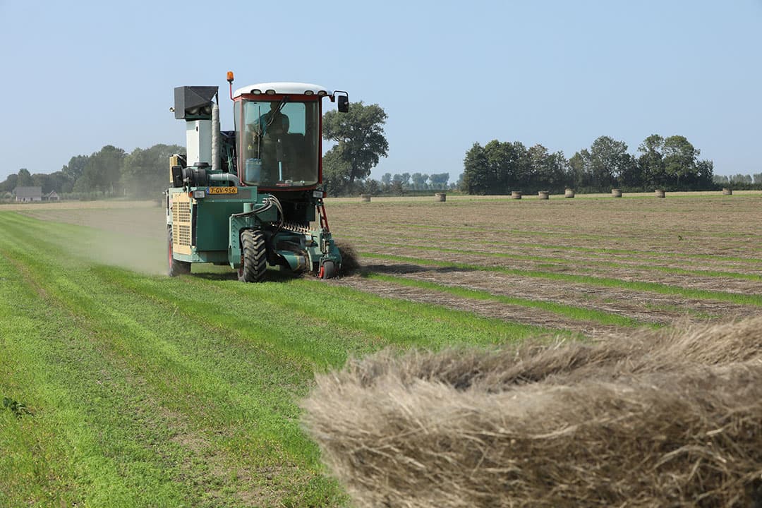 Oogst van vlas in Zeeland vorig jaar. Foto: Henk Riswick