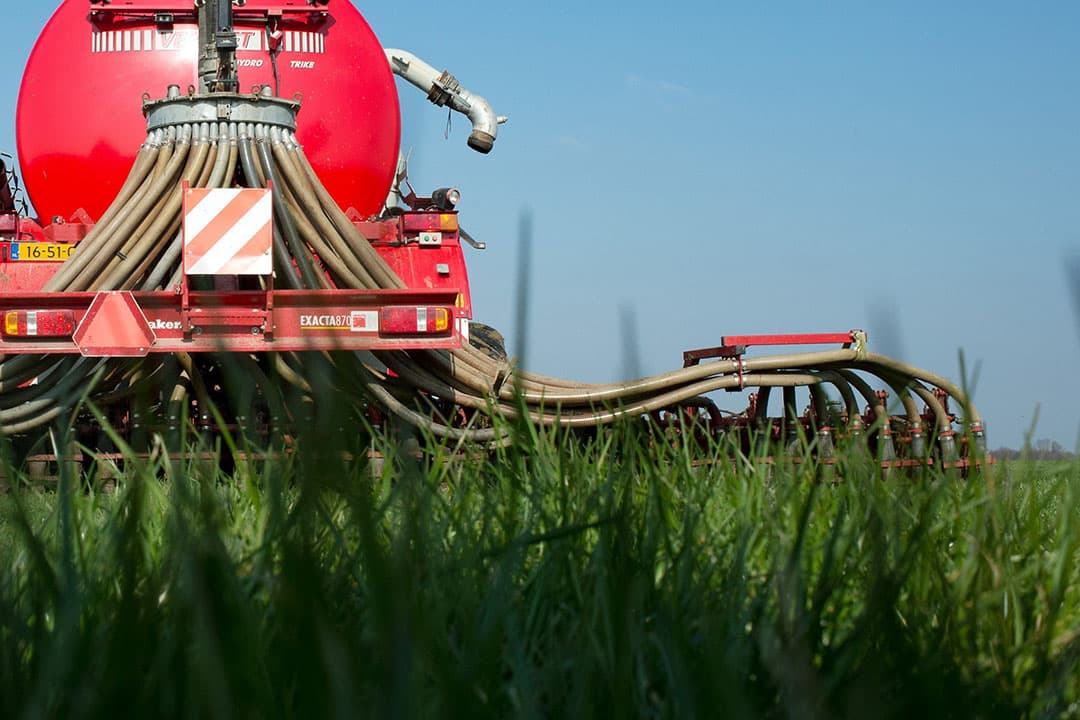 Foto: Twan Wiermans