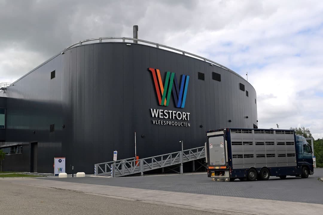 Slachterij Westfort in IJsselsein hoeft naar aanleiding van het gebleken besmettingspercentage geen extra maatregelen te nemen. - Foto: Fotopersbureau Dijkstra
