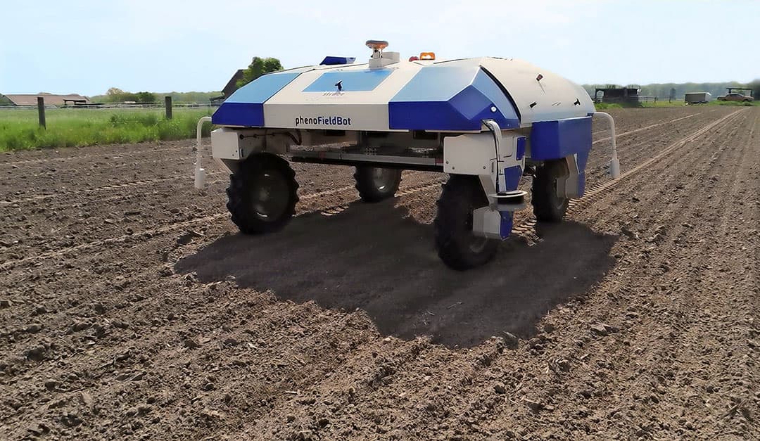 Een veldrobot rijdt elf dagen na het bieten zaaien over een proefveld van Strube. Met behulp van foto's wordt de opkomst van de bieten bepaald. - Foto: Strube