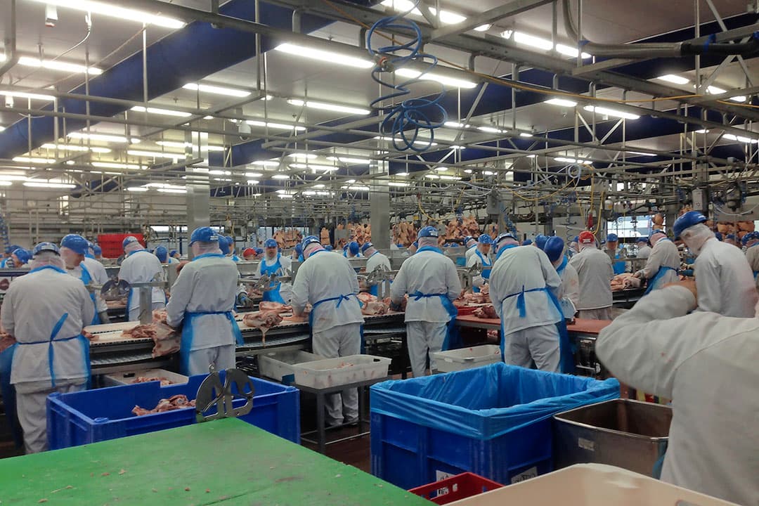 Slachterijen zoeken flexwerkers veelal in het buitenland. - Foto: Misset