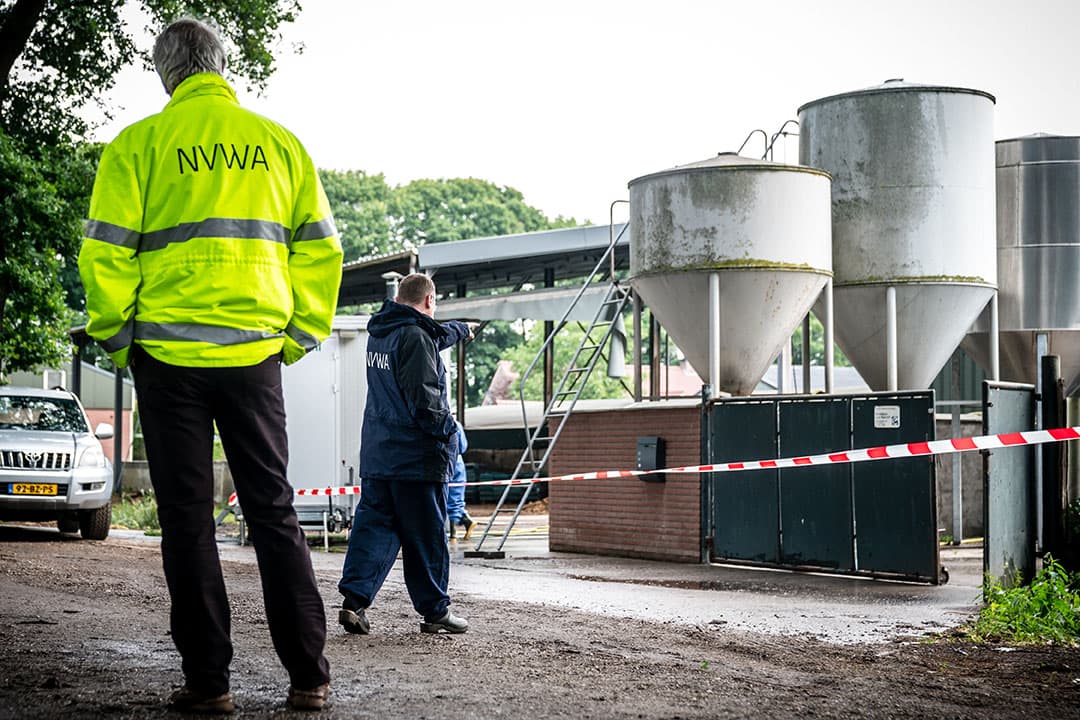 Het nertsenbedrijf in Deurne (N.-Br.). - Foto: ANP