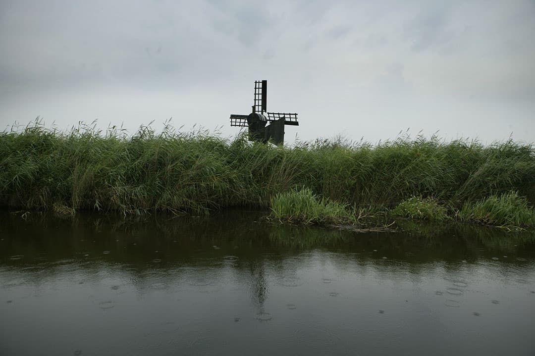 Laagveennatuur in Waterland. - Foto: Mark Pasveer