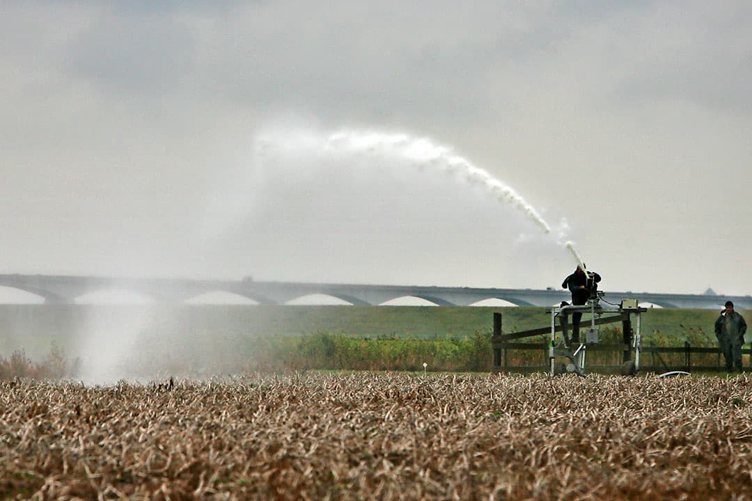Foto: Peter Roek