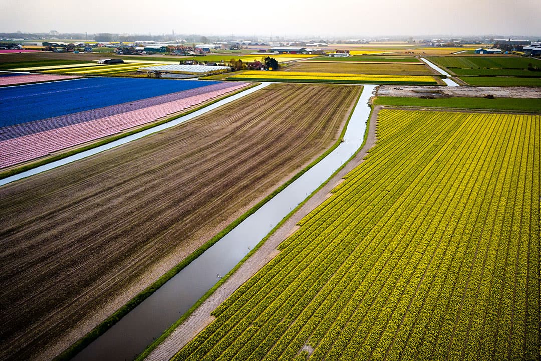 'Als het oprollen van landbouwgrond in dit tempo doorgaat is er over zeventig jaar nog eens 400.000 tot 500.000 hectare minder grond in beheer bij boeren en tuinders'. Foto: ANP