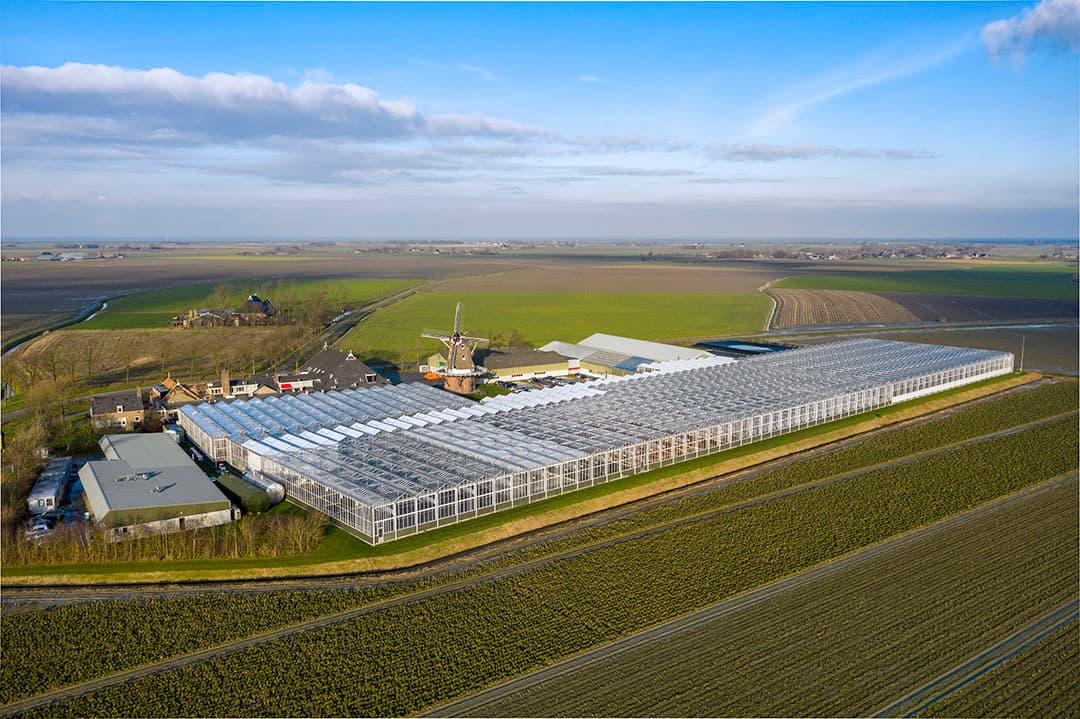 Het HZPC-kweekbedrijf in Metslawier (Fr.). - Foto Ruud Ploeg