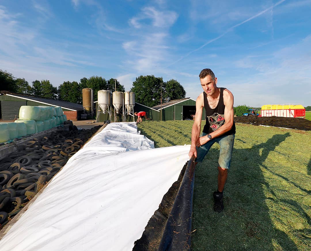 Deze kuil ligt mooi op hoogte, net boven de silowand en wordt direct na de laatste vracht afgedekt met wand- en kuilfolie. - Foto: Ruud Ploeg