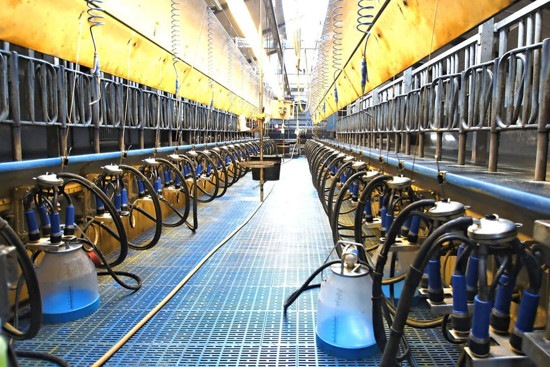 Foto: Interfarms