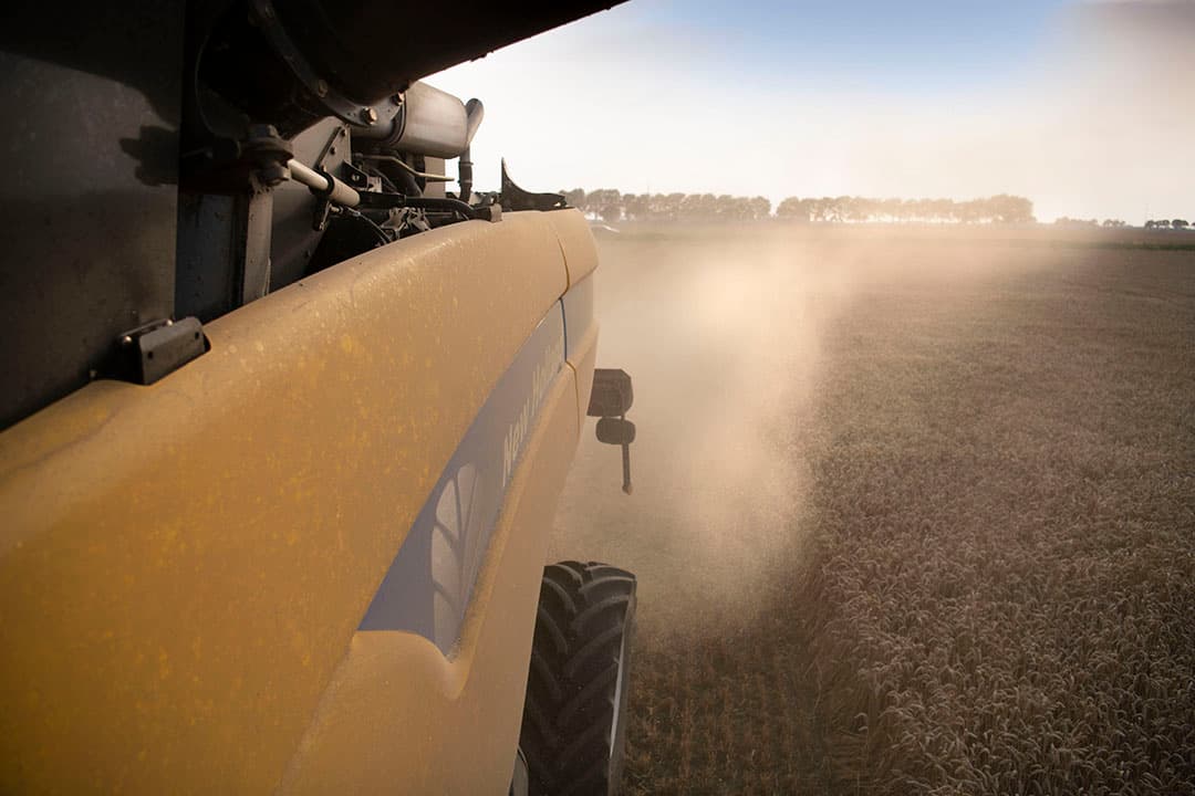 De oogst van wintertarwe. Dat begint binnenkort weer. Volgens de NAV moet de bodemvruchtbaarheid op peil gehouden worden door voldoende aanvoermogelijkheden van organische mest. - Foto: Mark Pasveer