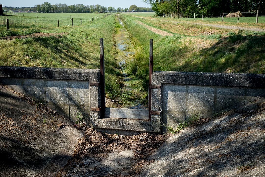 Droge sloten in het landbouwgebied nabij het Overijsselse Haarle. Foto: ANP