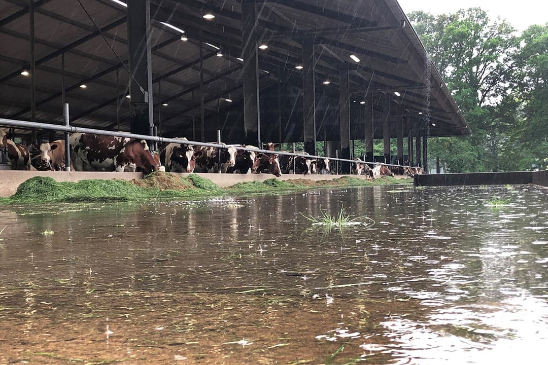 Foto: Hans Prinsen