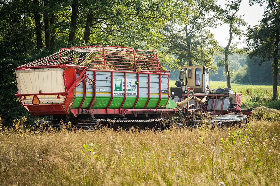 Voor klimaatneutrale melkproductie is het van groot belang zuinig te zijn op de bestaande grasmat en de bodem met rust te laten. - Foto: Koos Groenwold
