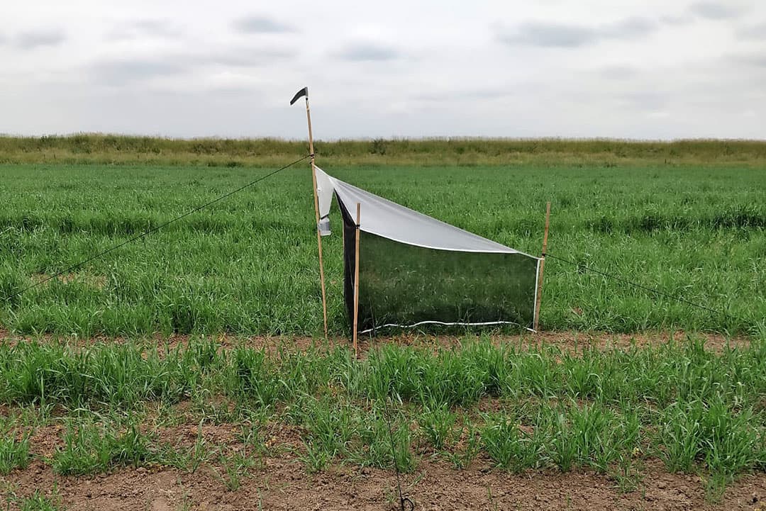 Een malaise (een soort tent) waarin gekeken wordt naar schadelijke en nuttige insecten. - Foto: Delphy