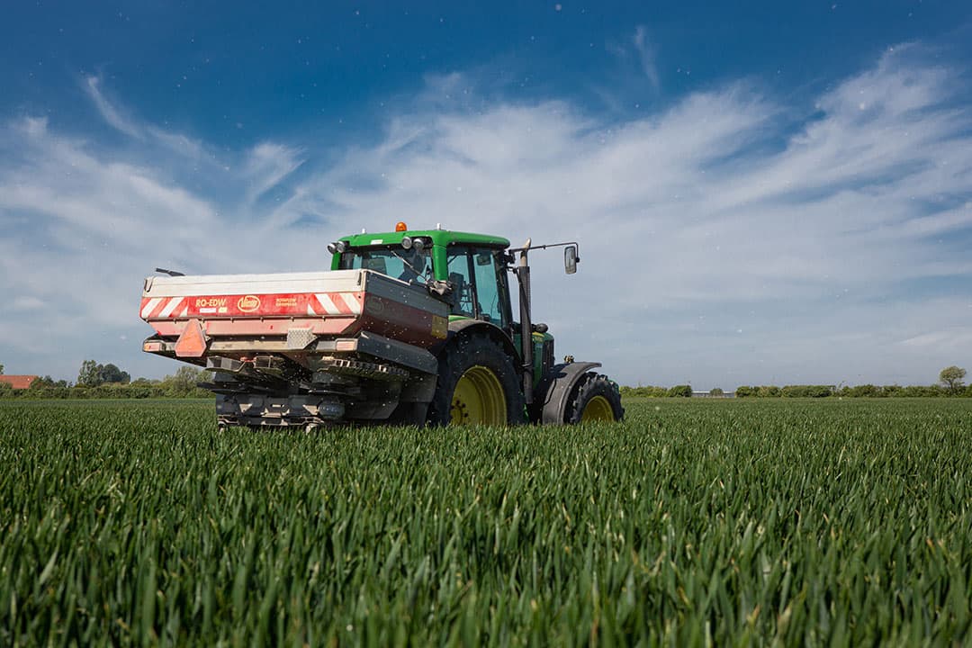 Strooien van kunstmest op een perceel tarwe. - Foto: Peter Roek
