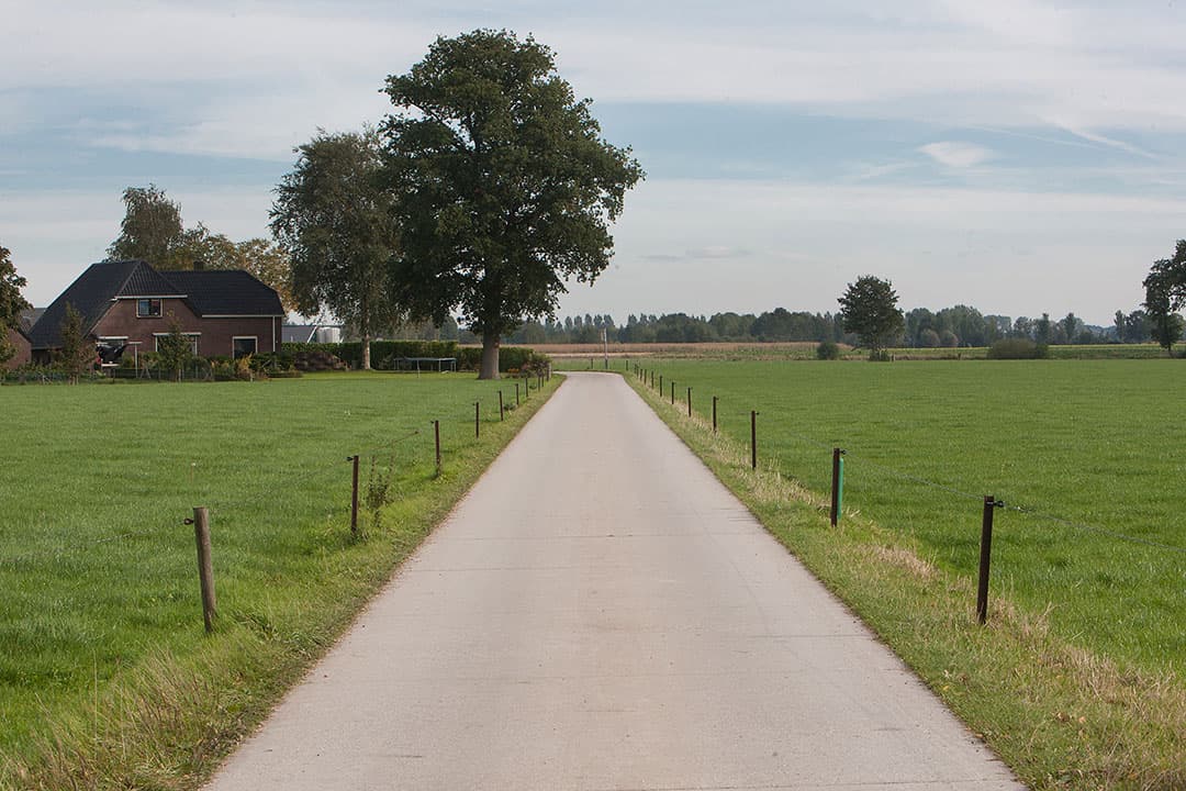 Foto: Ronald Hissink