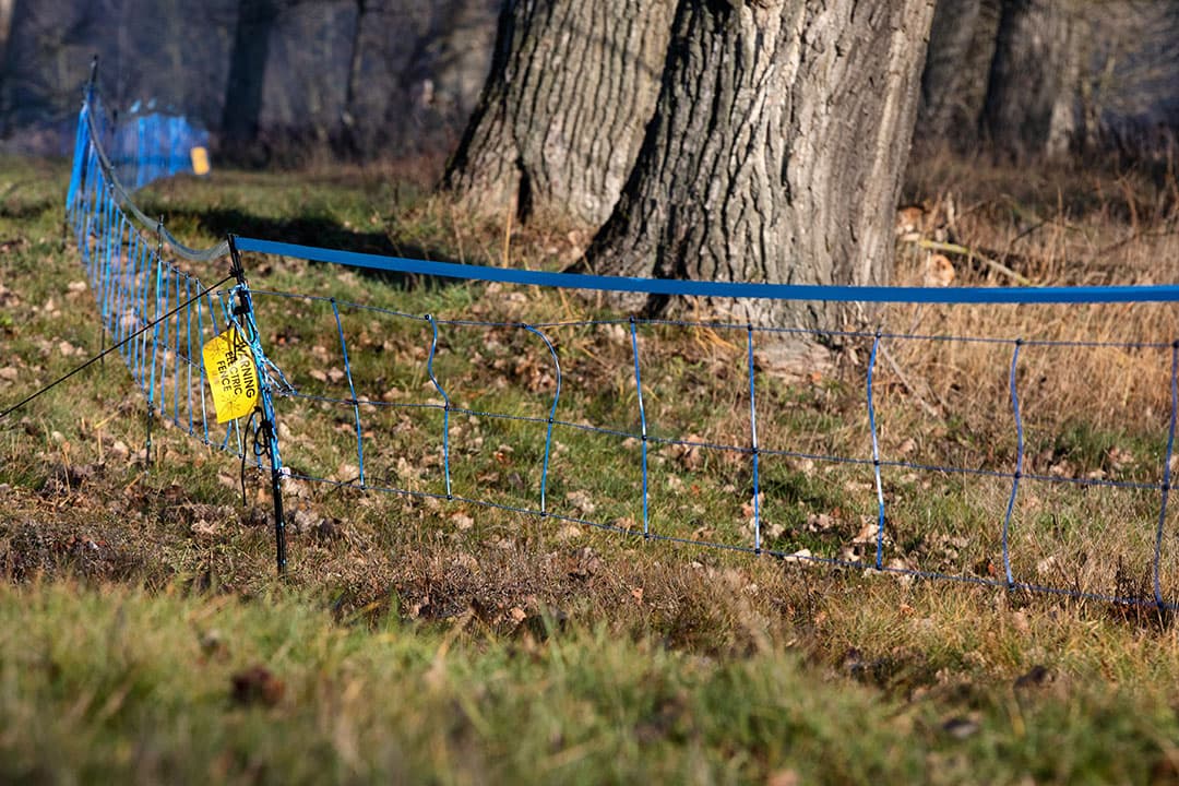 Hekwerk op de grens tussen Duitsland en West-Polen. Foto: ANP