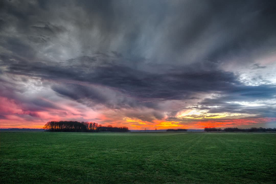 Foto: Canva/Skitterphoto