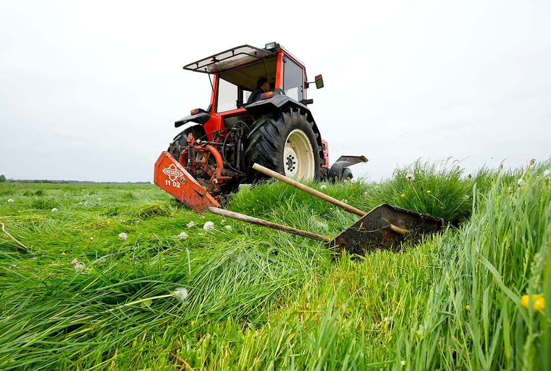 Duurzaam graslandbeheer. - Foto: Ruud Ploeg