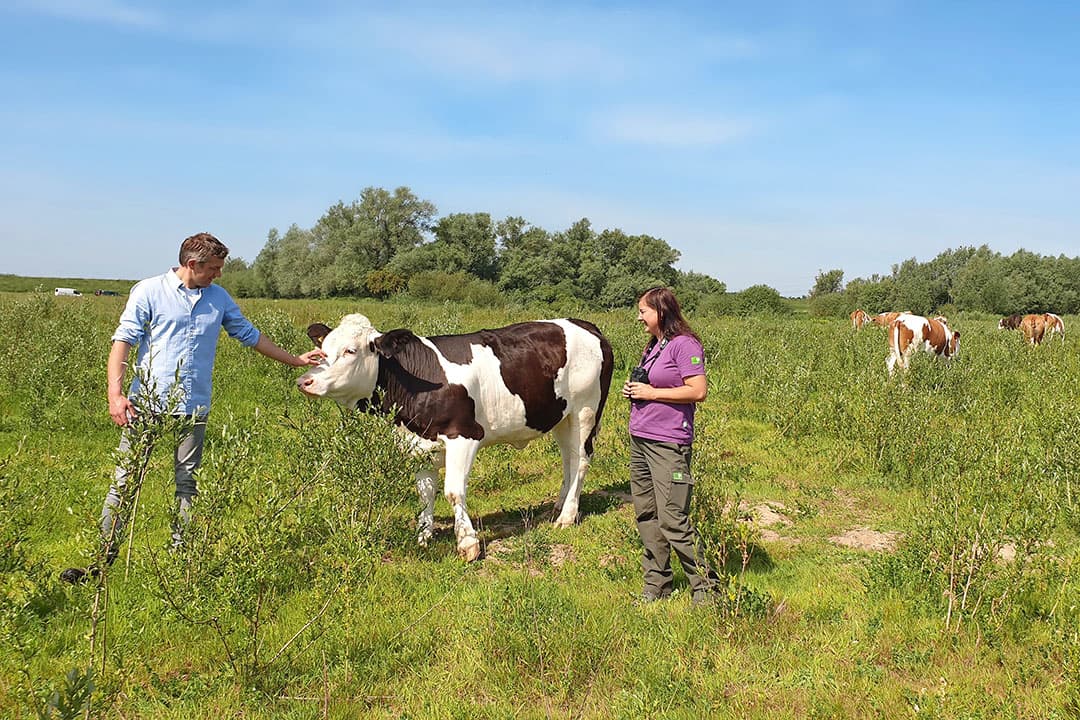 Staatsbosbeheer (SBB) biedt boeren die willen overstappen naar natuurinclusieve landbouw, pachtgronden aan. Zo kunnen zij rendabel boeren en de biodiversiteit vergroten. - Foto: Staatsbosbeheer