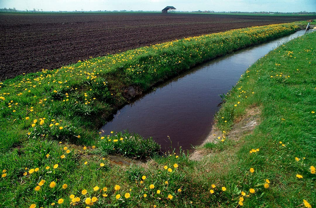 Voor beken met voldoende water geldt het beregeningsverbod niet. - Foto: Theo Tangelder