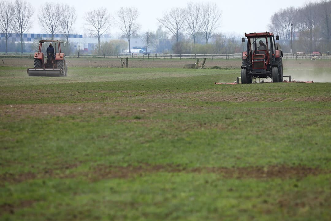 Foto: Henk Riswick