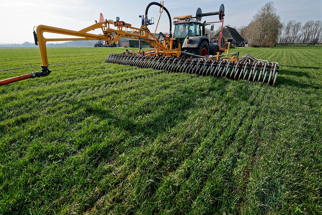Verdunnen van mest bij toepassing met sleepvoetenbemester geeft vermidering van de ammoniakemissie. - Foto: Lex Salverda