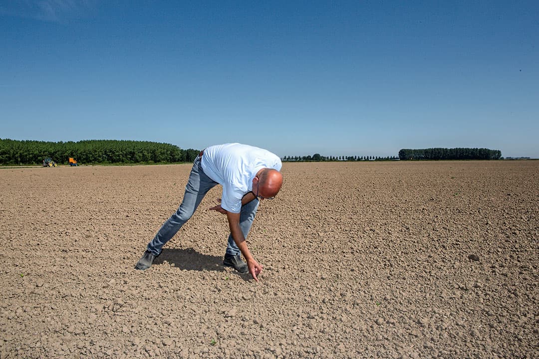 Foto: Peter Roek