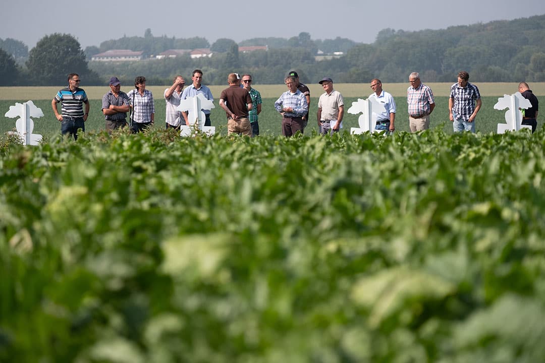 Dit beeld van grote rondleidingen is voorlopig niet toegestaan. - Foto: Twan Wiermans.