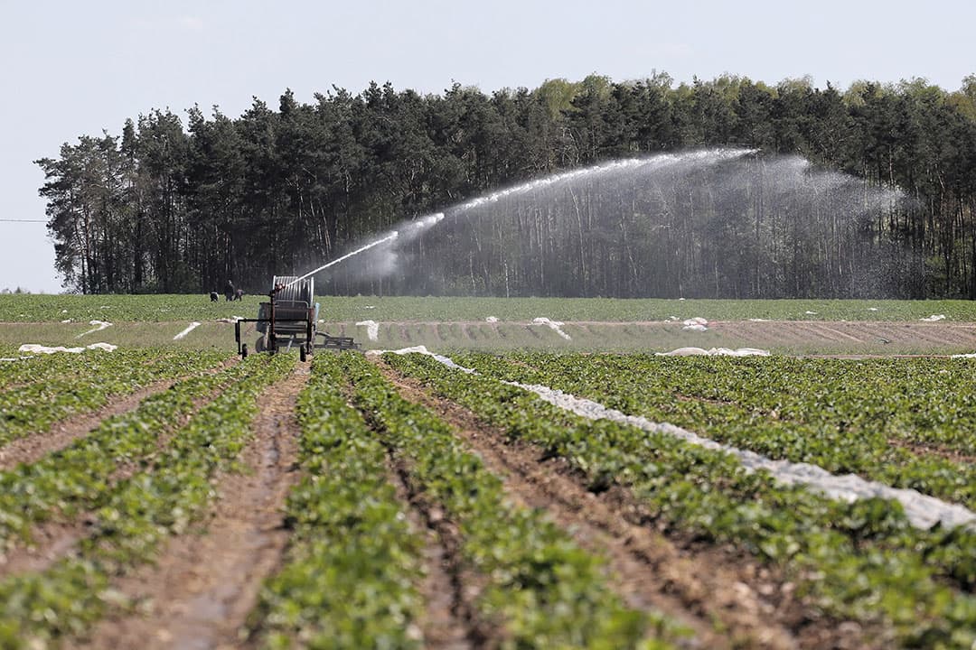 Beregenen op een Pools perceel. In Polen heeft het sinds 20 maart nauwelijks meer geregend. Foto: ANP