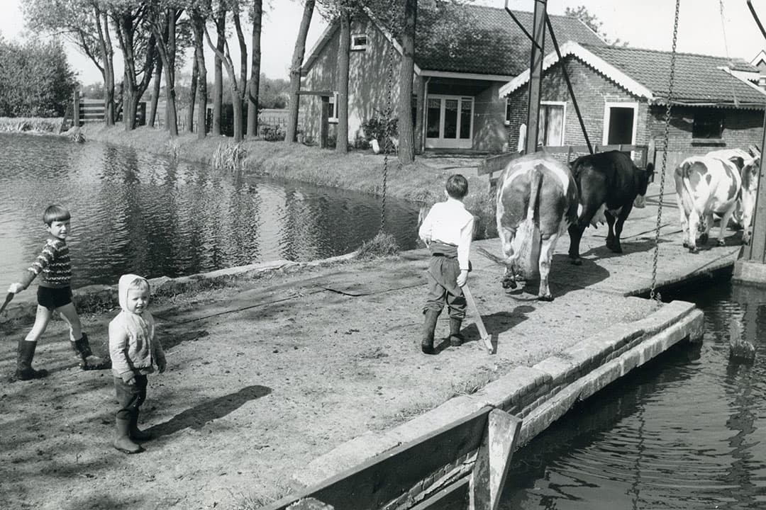 Foto: Misset
