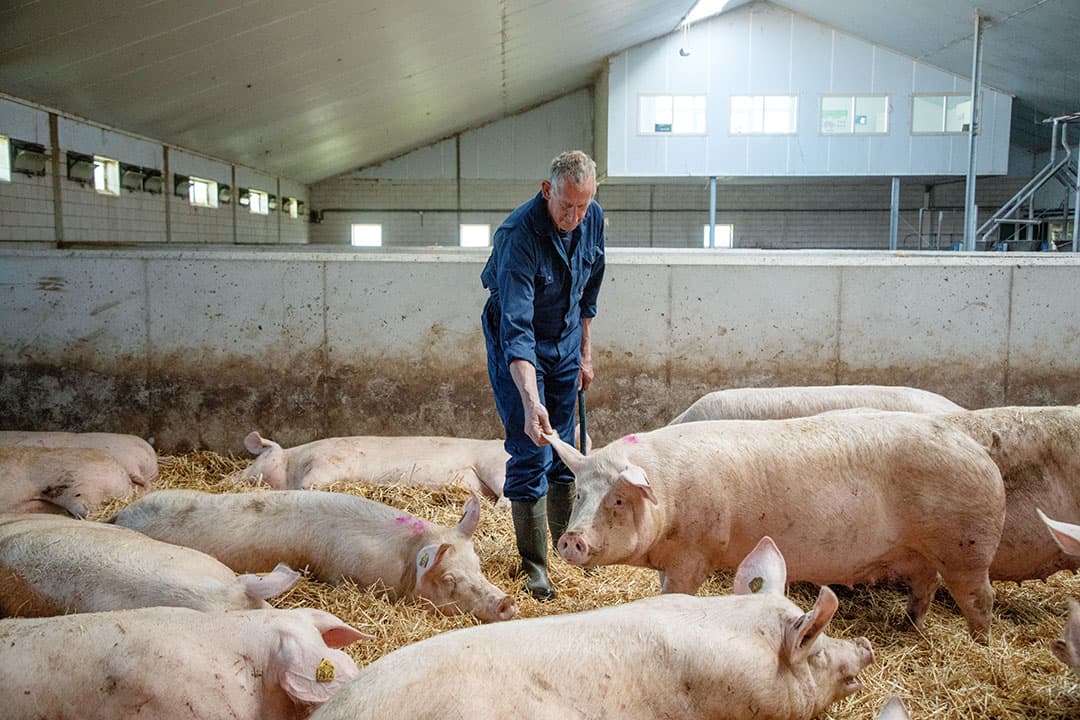 Foto: Herbert Wiggerman