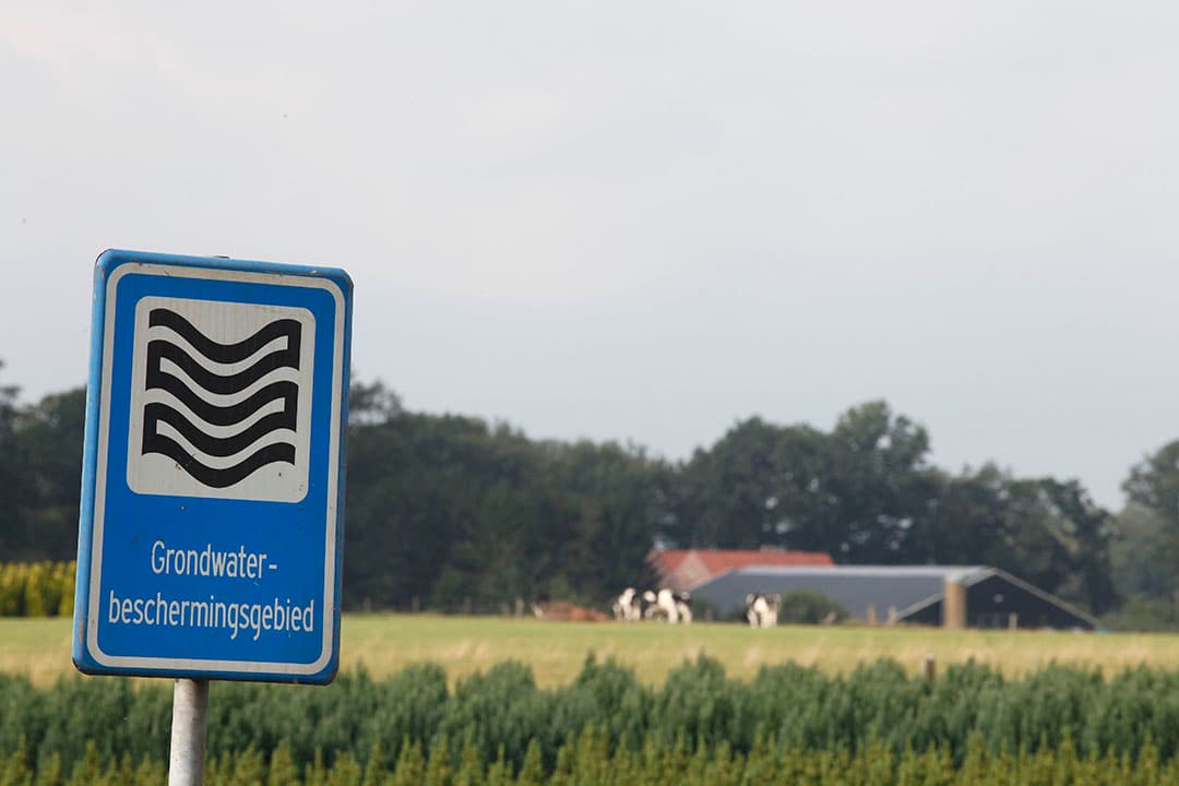 Waterwingebied in Lemselo (Ov.). - Foto: Hans Prinsen