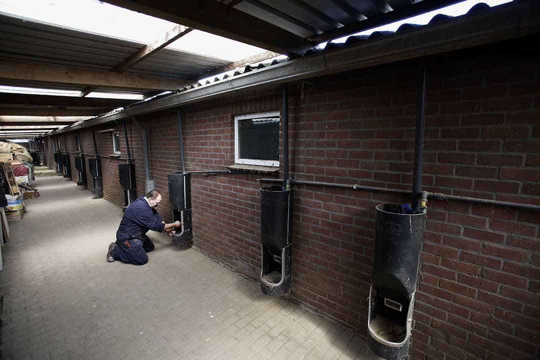 Een varkenshouder heeft tussen 2 stallen een overkapping gemaakt voor noodopvang van biggen. - Foto: Hans Prinsen